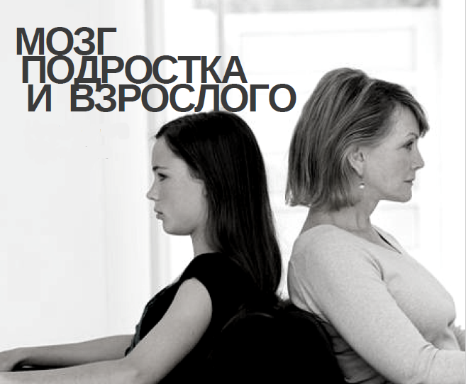 Мозг ребёнка и взрослого. МАСТЕР-КЛАСС ПЕРЕНЕСЁН